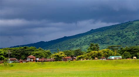 Sylhet Tea Gardens